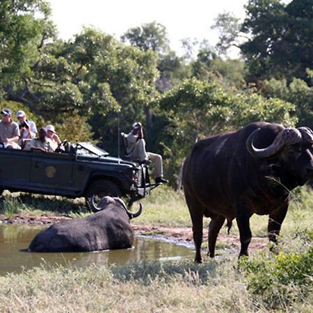 Umlani Bushcamp Villa Timbavati Doğa Koruma Alanı Dış mekan fotoğraf