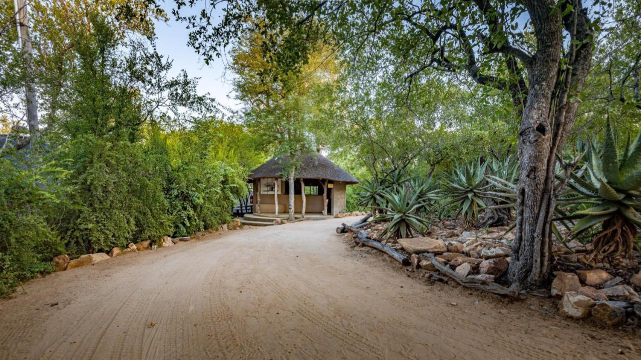 Umlani Bushcamp Villa Timbavati Doğa Koruma Alanı Dış mekan fotoğraf