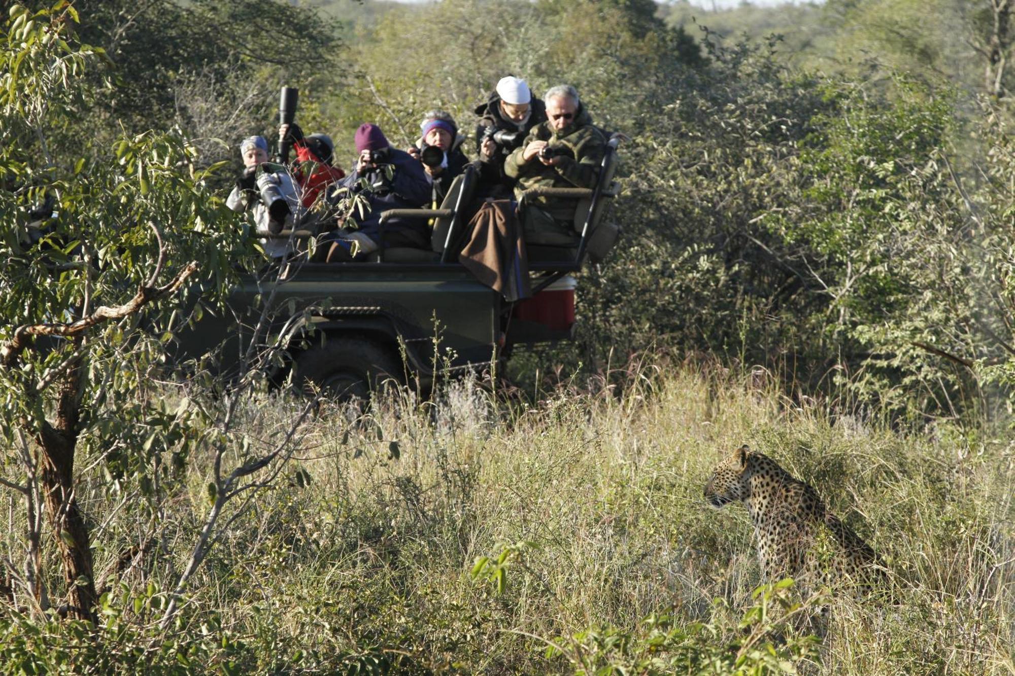 Umlani Bushcamp Villa Timbavati Doğa Koruma Alanı Dış mekan fotoğraf