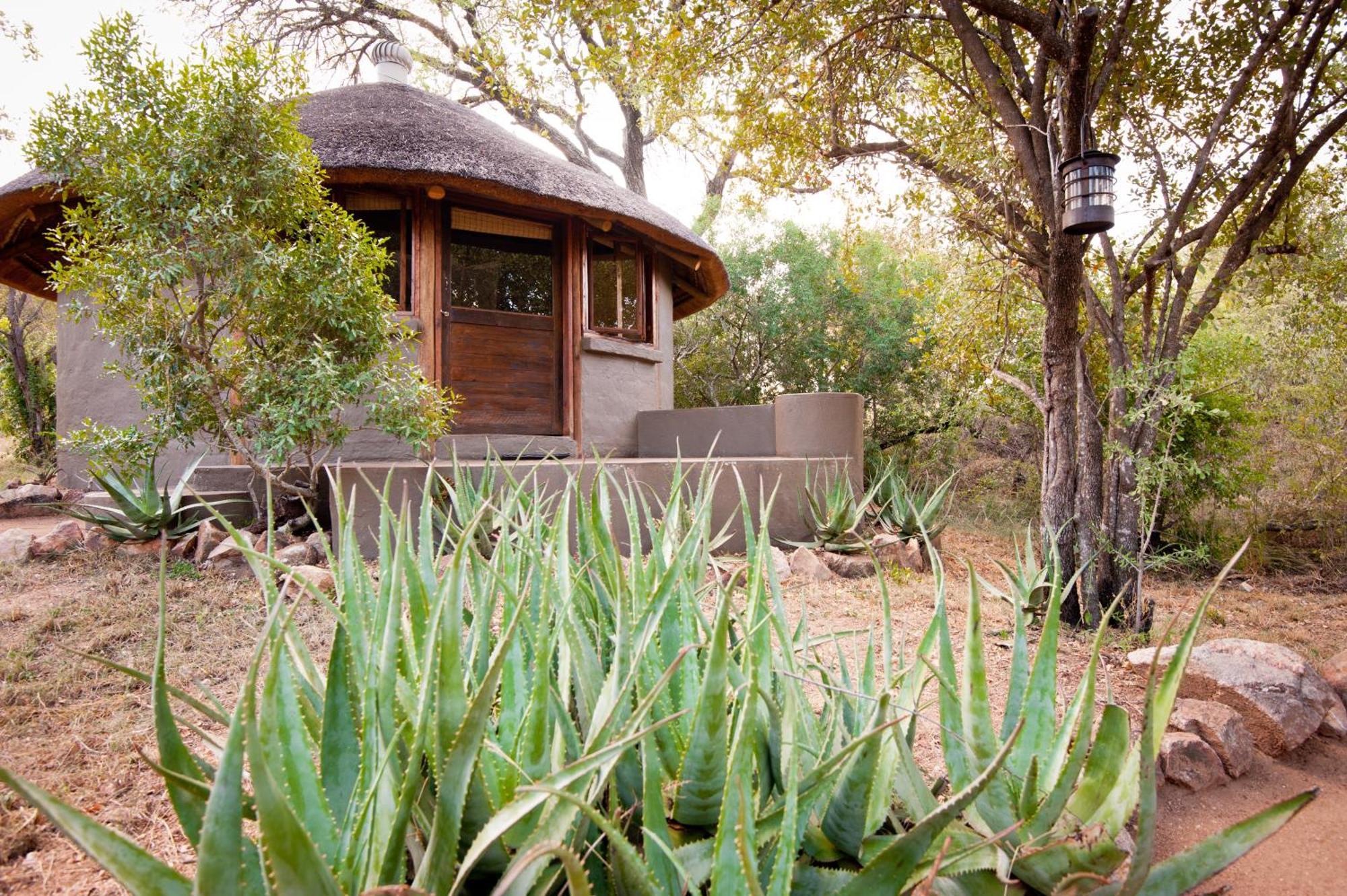 Umlani Bushcamp Villa Timbavati Doğa Koruma Alanı Dış mekan fotoğraf