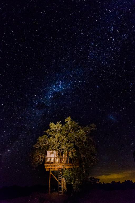 Umlani Bushcamp Villa Timbavati Doğa Koruma Alanı Dış mekan fotoğraf